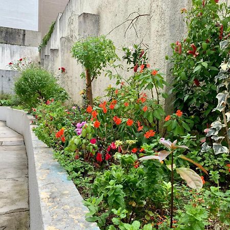Apartamento Bigorrilho: Amplo, Moderno e Bem Localizado Curitiba Exterior photo